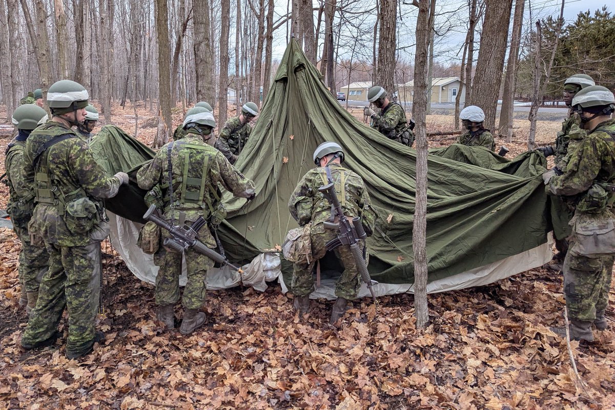 Marc Kieley tweet media