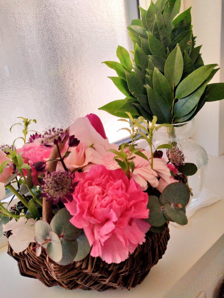 連載開始祝いのお花。
✨ありがとうございます✨