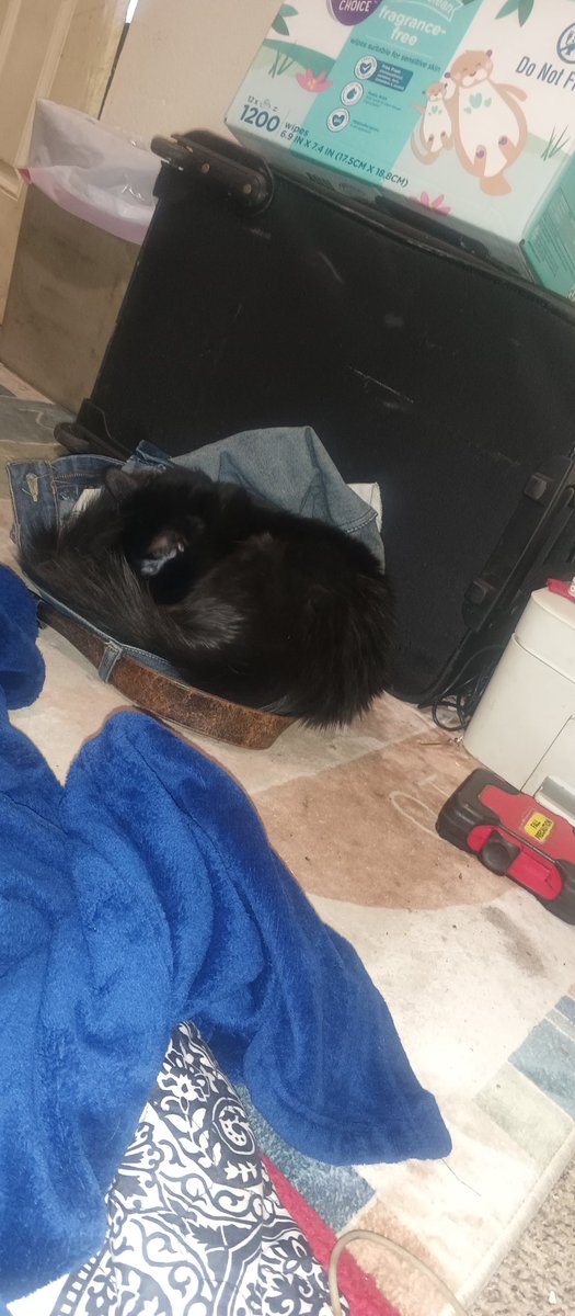 baby liora tweet media