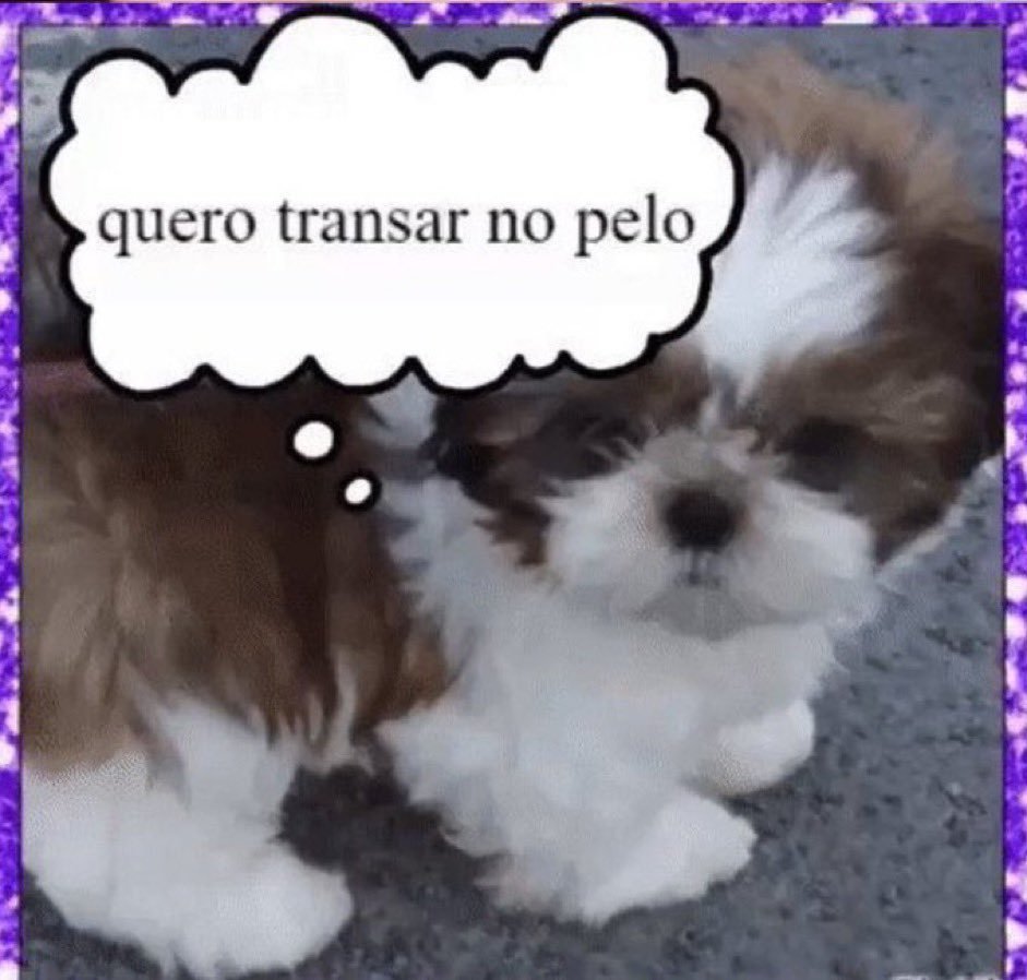5gramasdememes's tweet photo. 🦄 https://t.co/Mztr48324X
