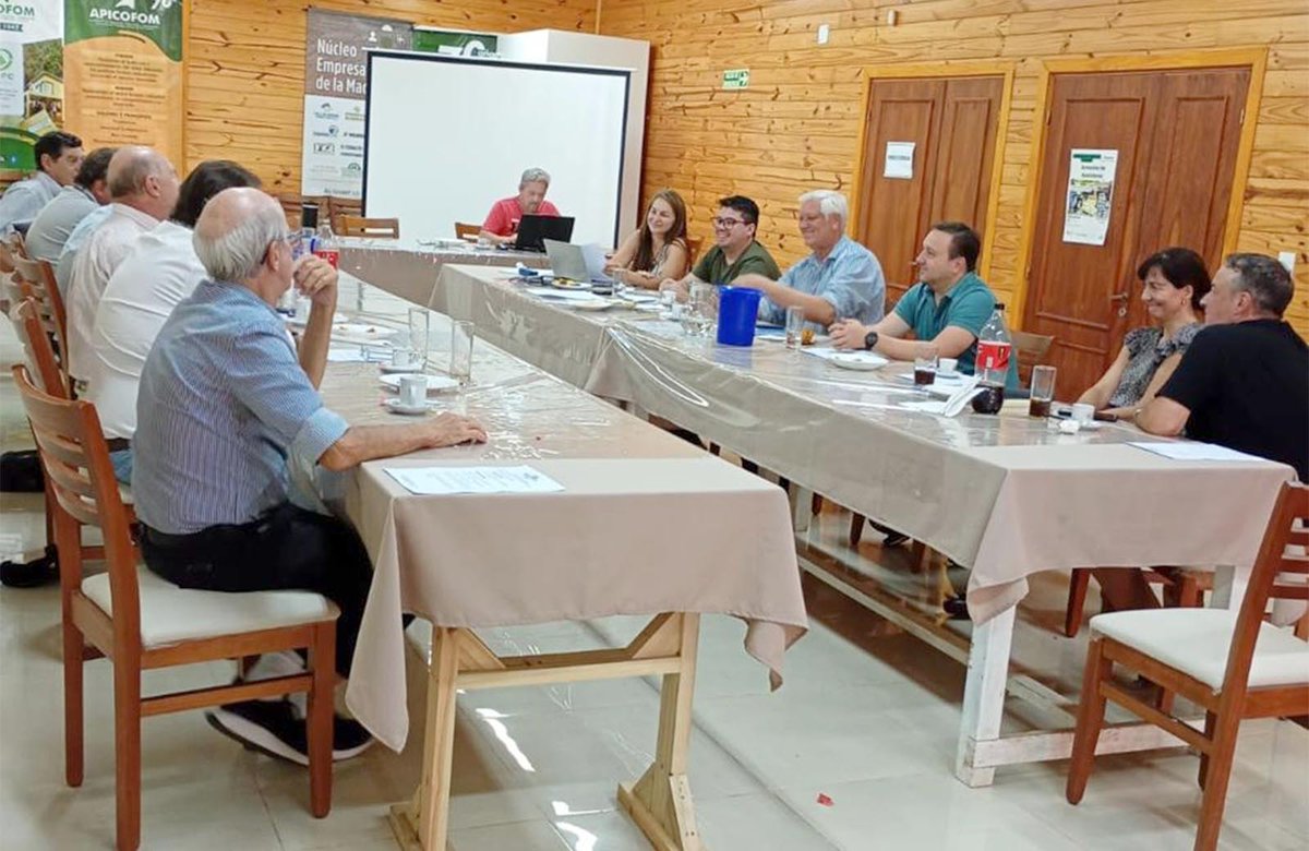 apicofom tweet media