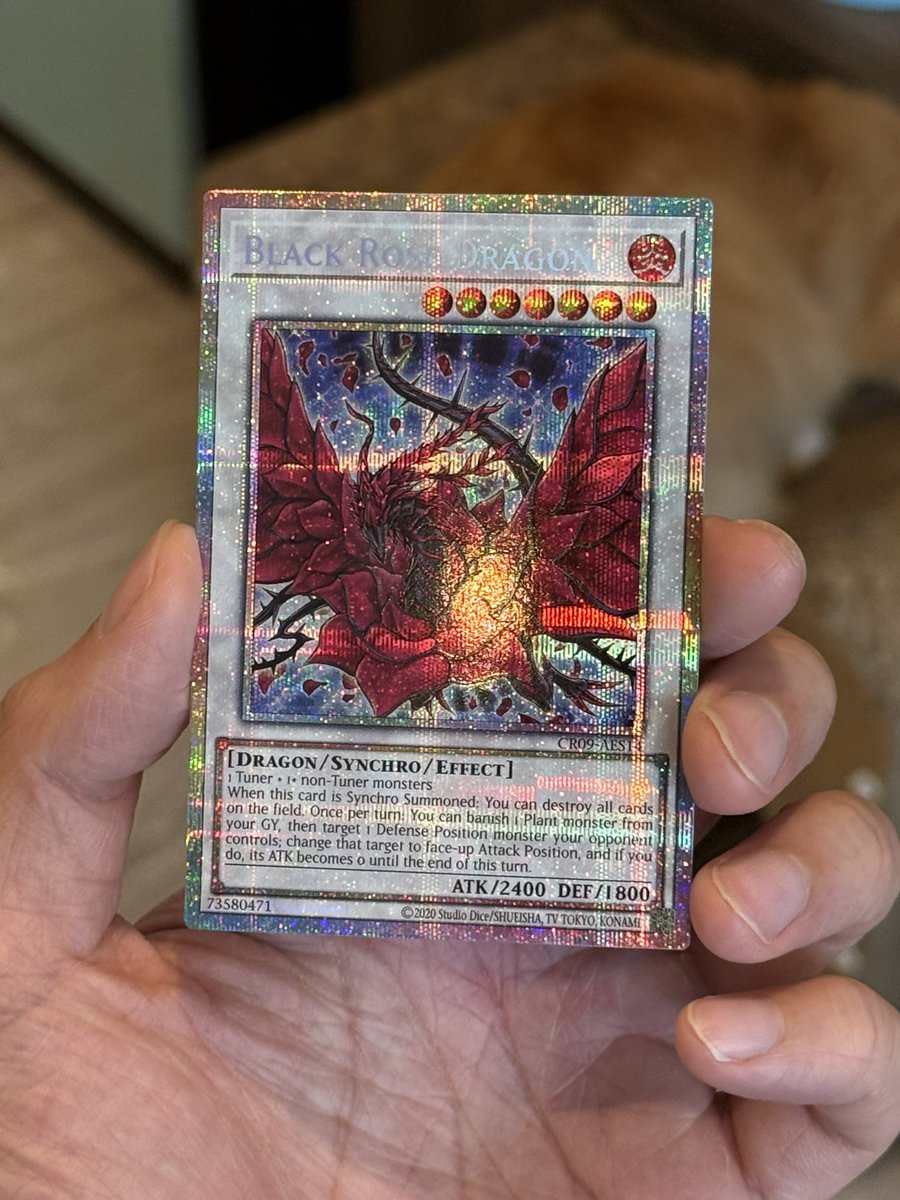 空卡店 tweet media