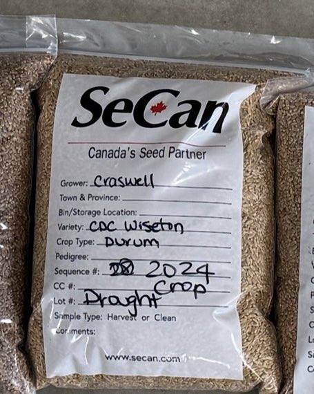 SeCanLauren's tweet image. The ultimate carb loading tonight! A friend whipped up some CDC Wiseton durum into pasta! Our 1st batch, and it did not disappoint. Brand new CDC Wiseton durum seed is available this #plant16  w/ Intermediate FHB resistance. @SeCan