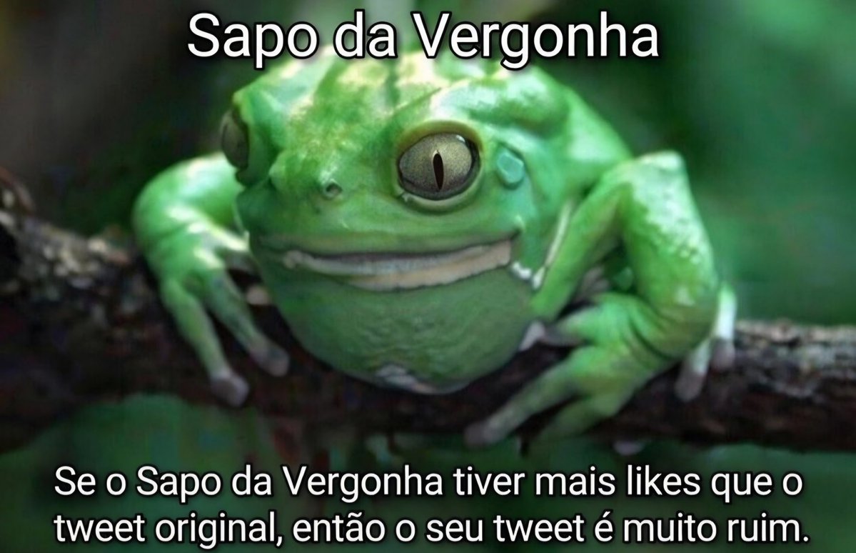 Bruno Pinheiro → pinubi.com tweet media