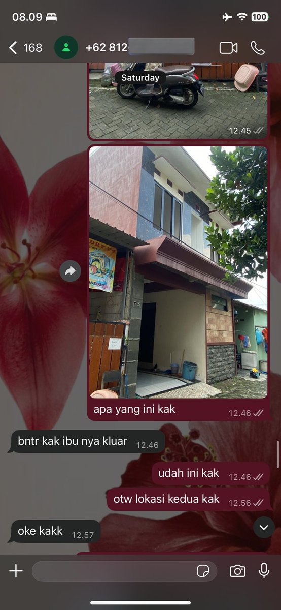 🍮 real pict dm tweet media