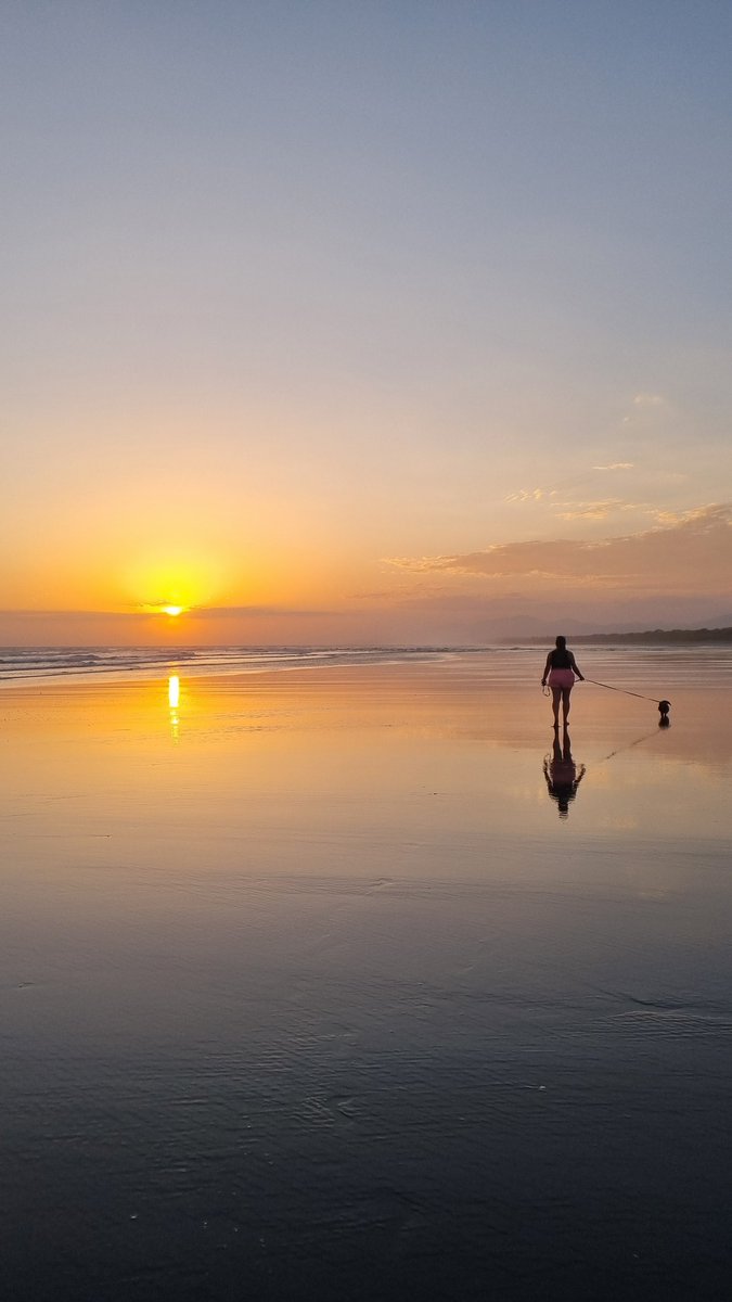 🇮🇪🛡 | Mac | 🛡🇸🇻 tweet media