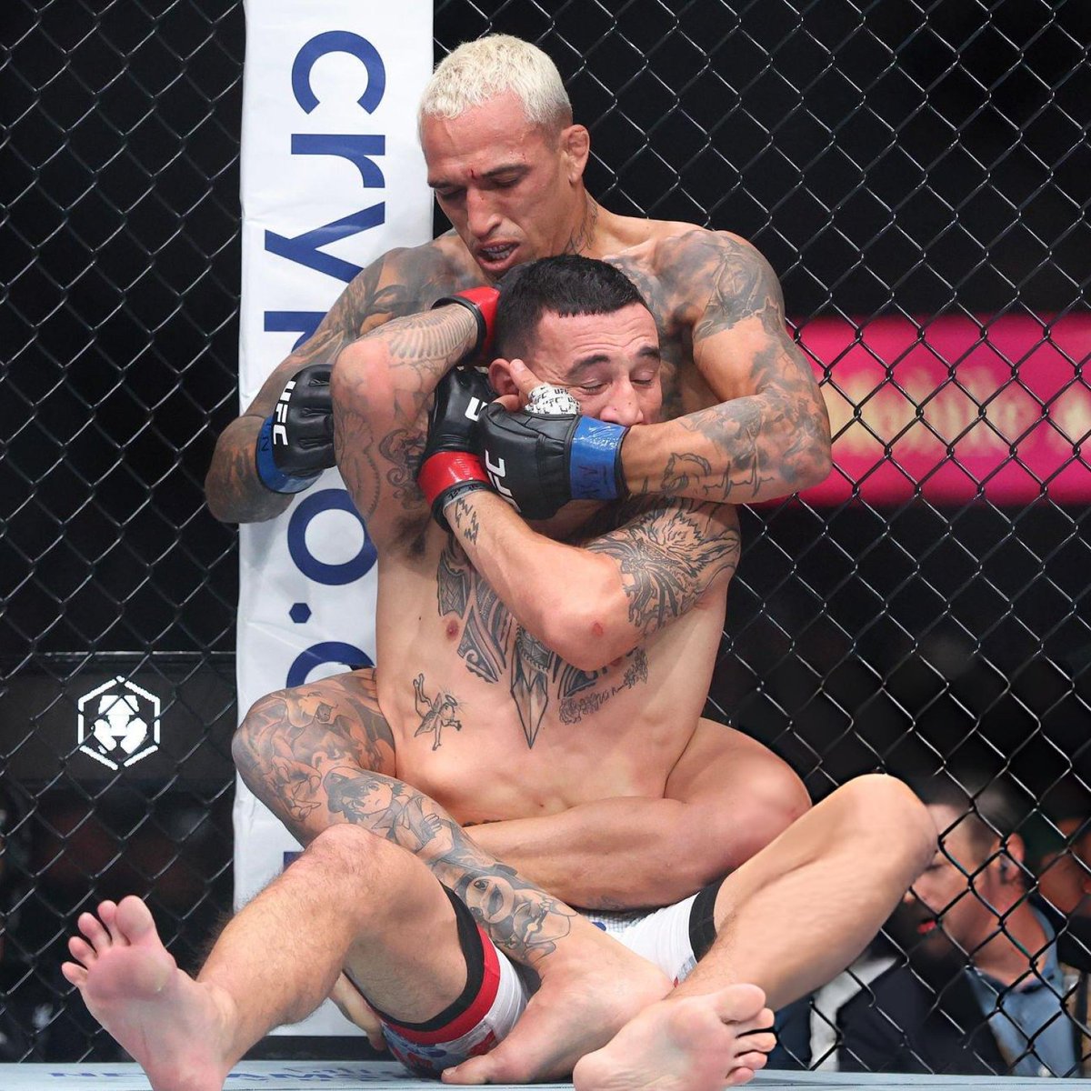 primeira fase tweet media