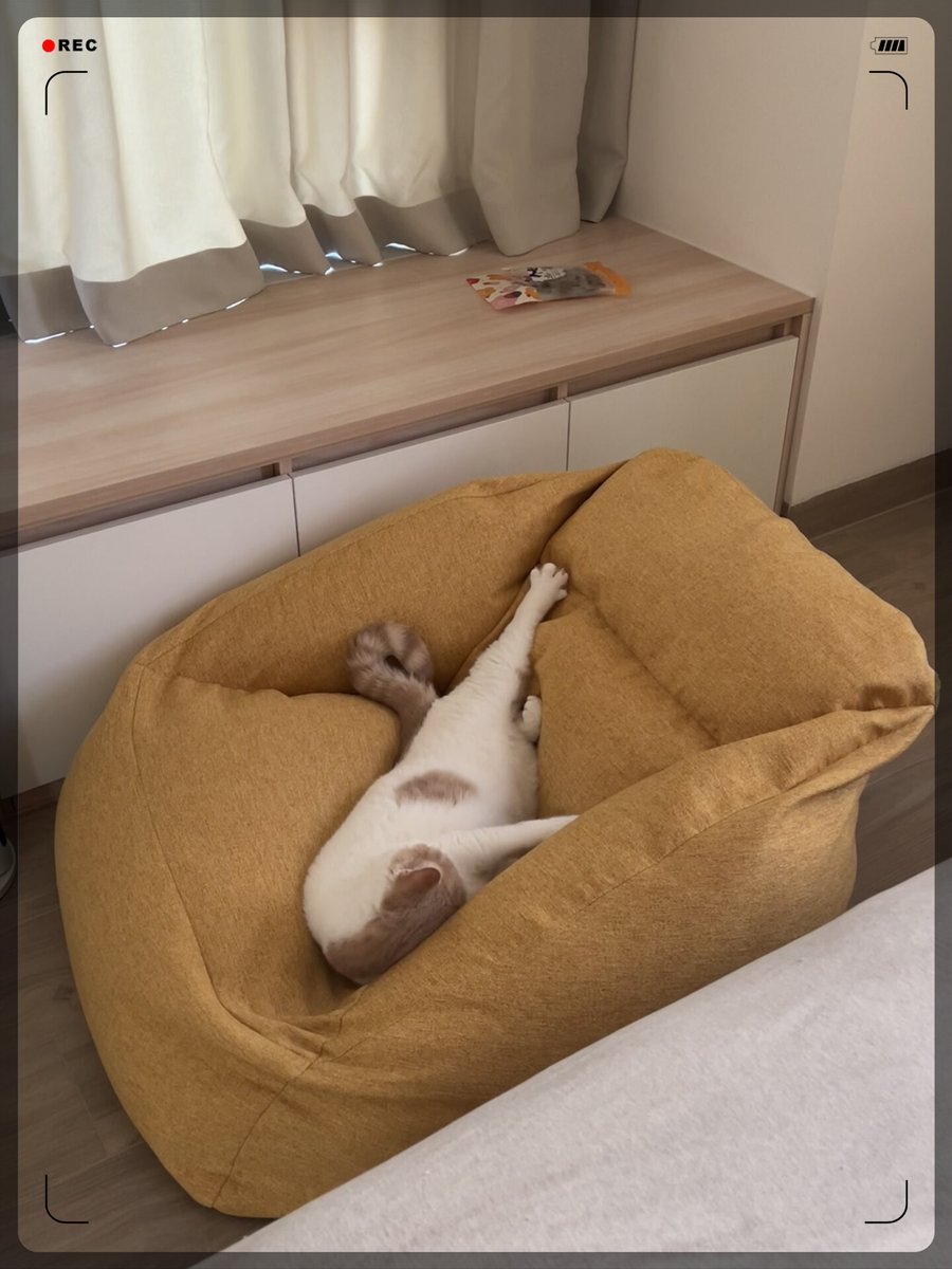 Trading Advisor tweet media