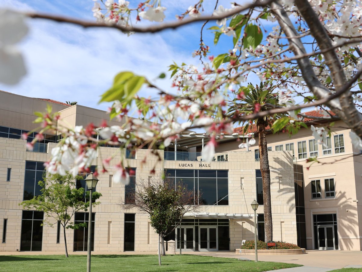 Leavey School of Business tweet media