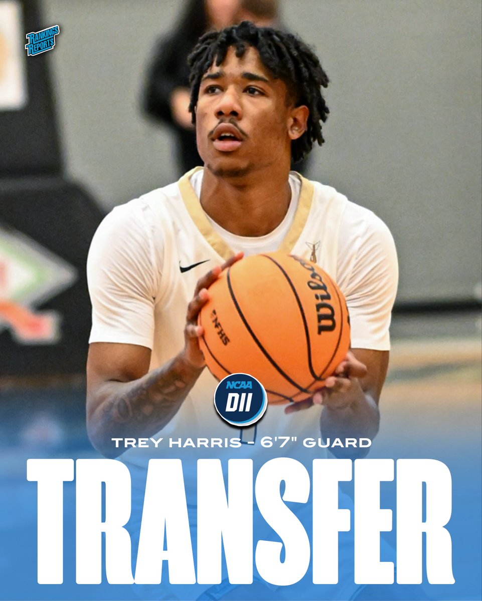 Rankings Report tweet media