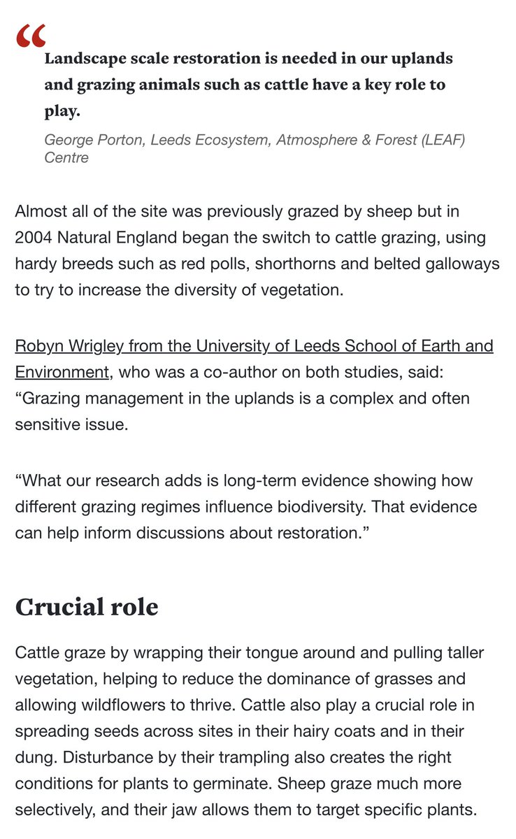 Wrath Of Gnon tweet media