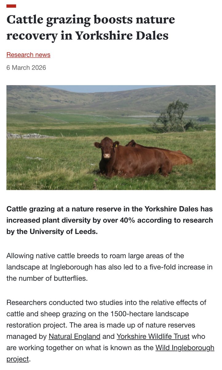 Wrath Of Gnon tweet media