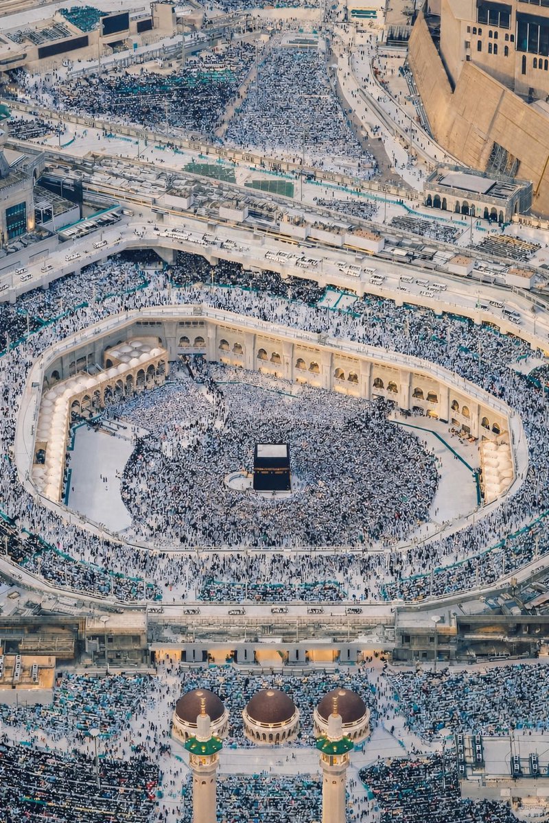 جمال السعودية tweet media