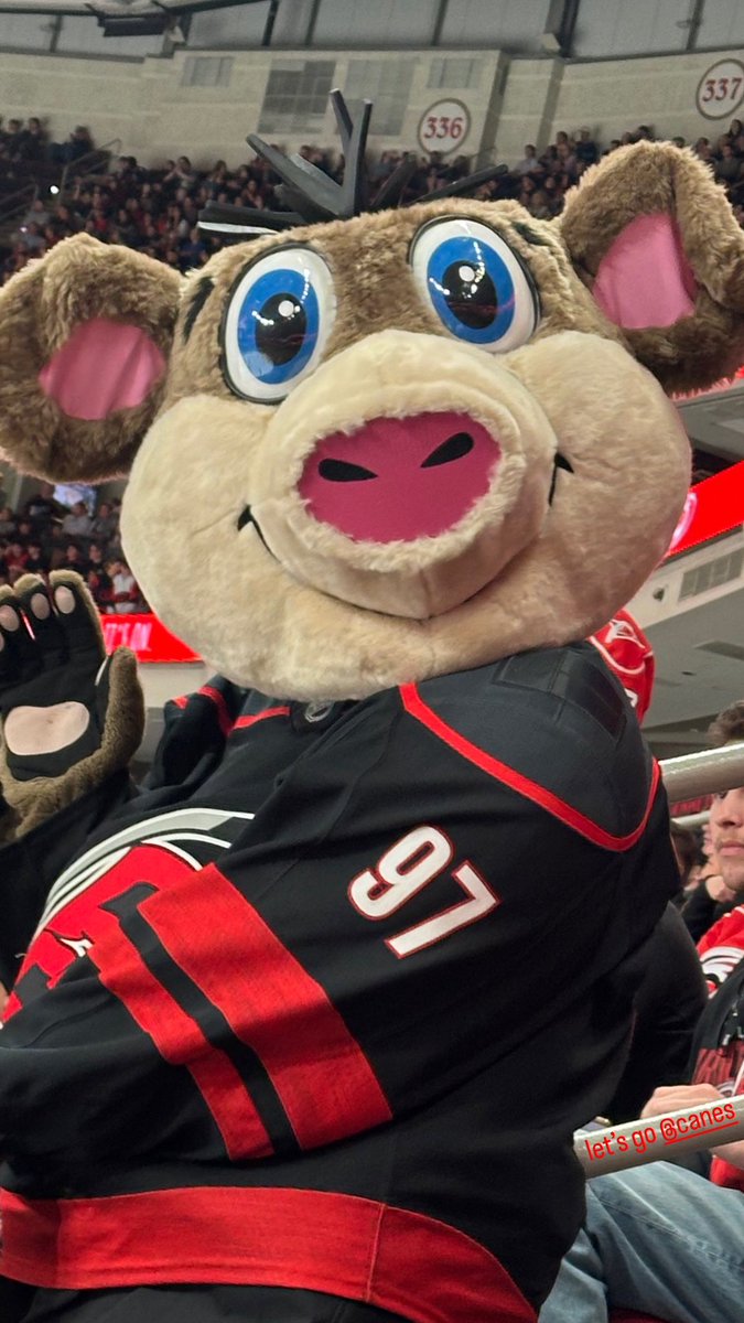 Shana Overdorf tweet media