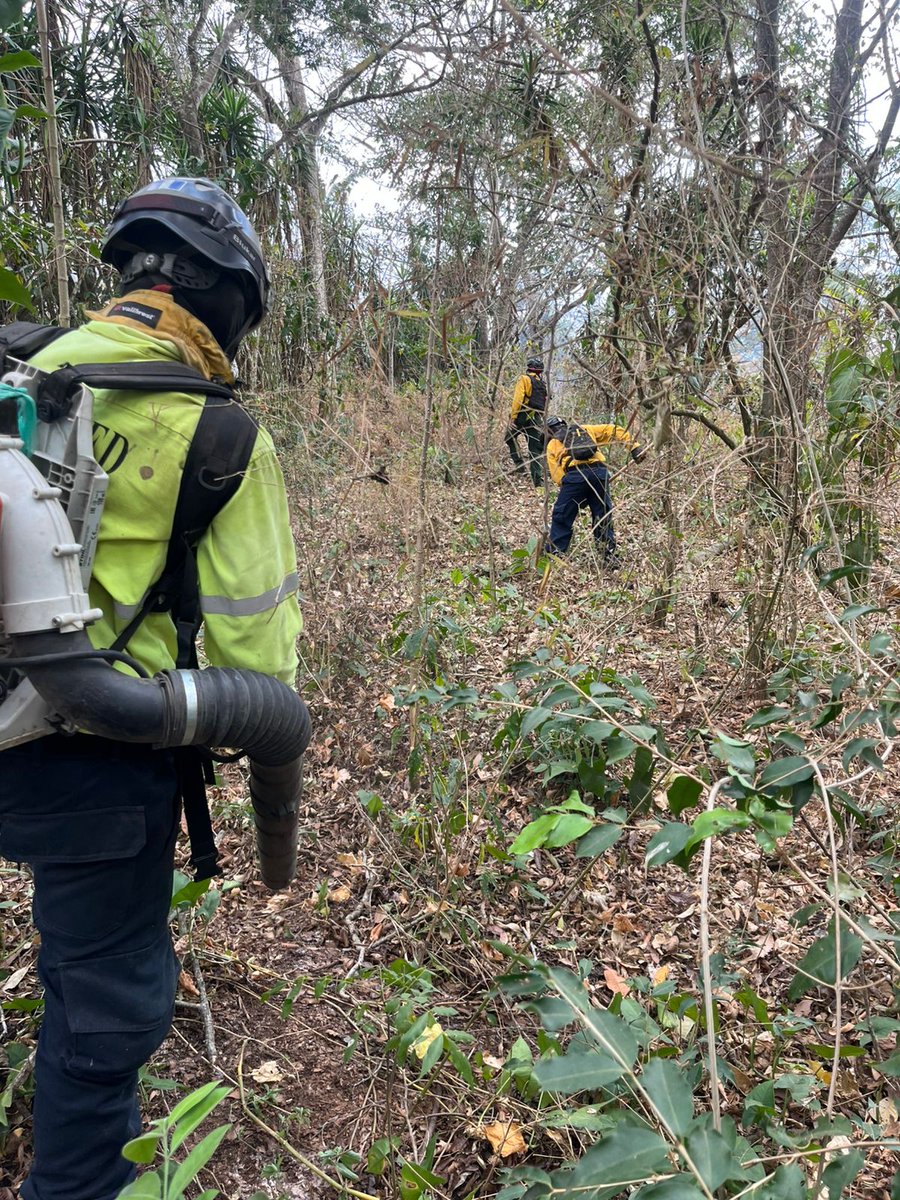 ConredGuatemala's tweet image. #SantaRosa El incendio registrado a orillas de laguna del Pino, sector Quebrada Seca, aldea El Carmen, Santa Cruz Naranjo, Santa Rosa fue controlado y liquidado en su totalidad por comunitarios y la Brigada de Respuesta Inmediata (BRI).

Fotografías: Sistema CONRED.