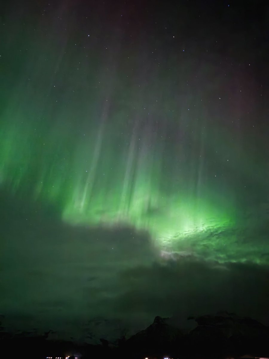 Rania // underflowR tweet media