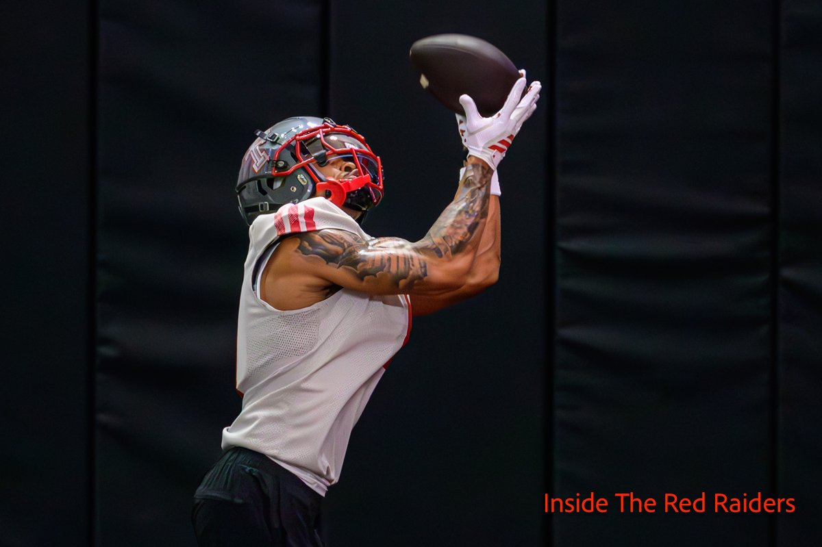 Steven Chapman tweet media