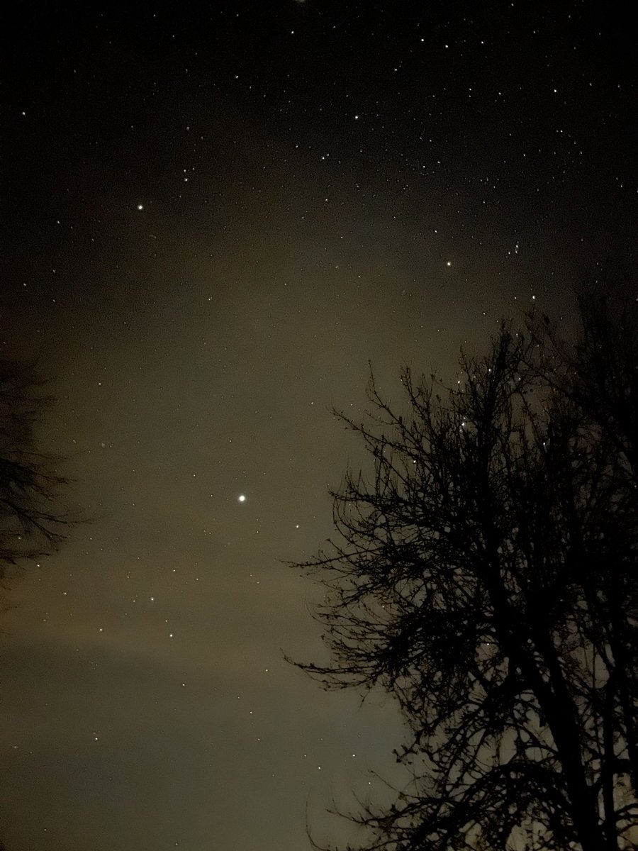 𝙂𝙤𝙤𝙨𝙚𝙮 (@gooseyftp) on Twitter photo 