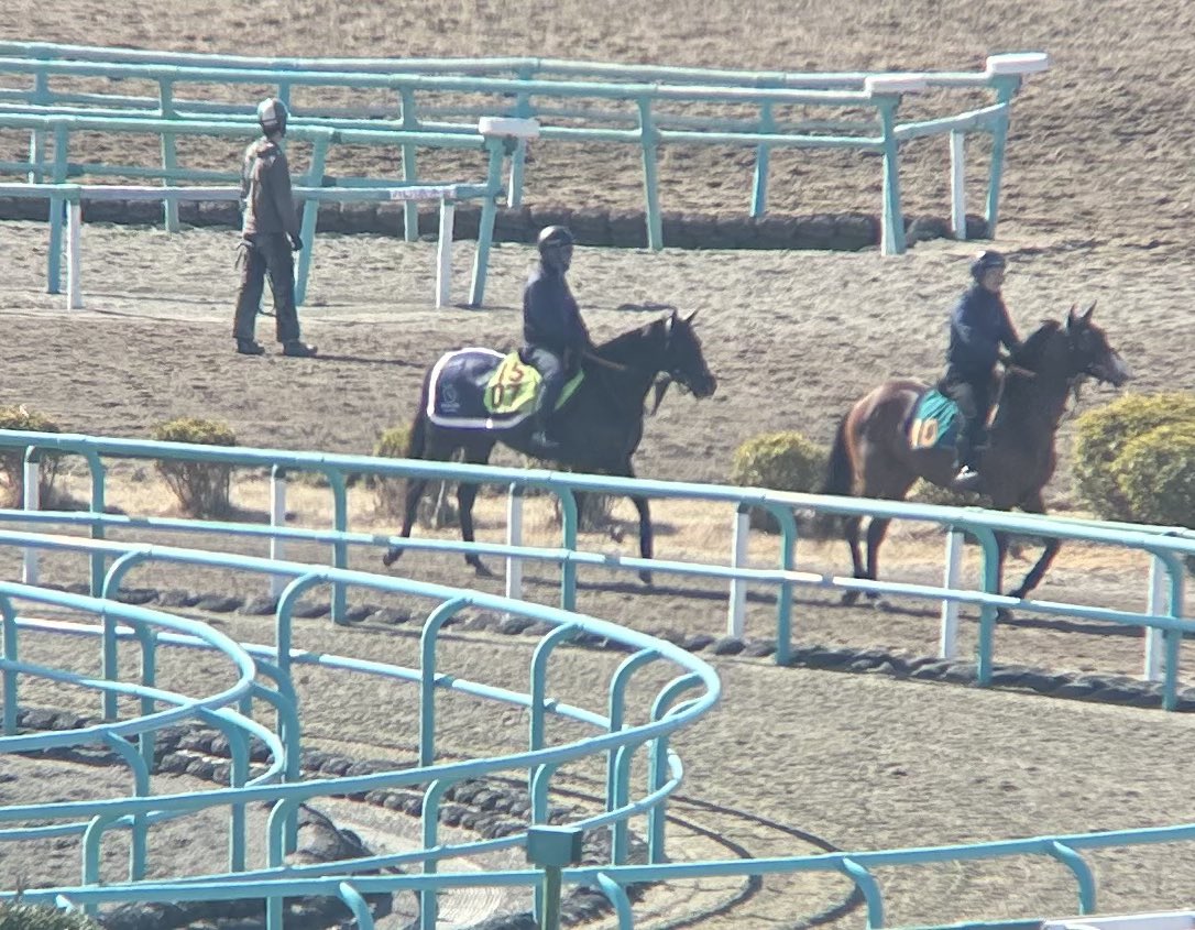 廣中築究 tweet media