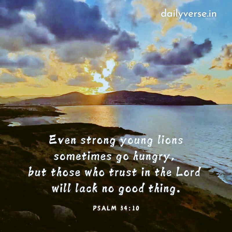 🪻🌿My Grace is sufficient 4u 2Corinthians 12:9🪻 tweet media