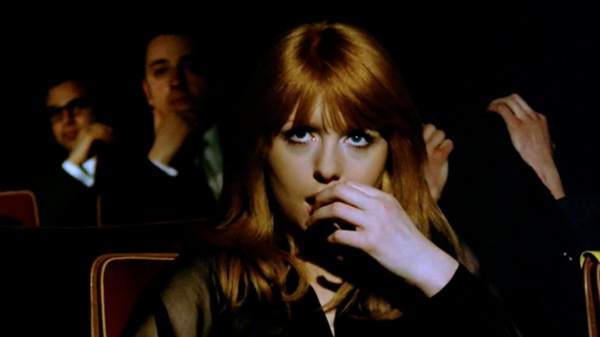 callel 🇵🇸 tweet media