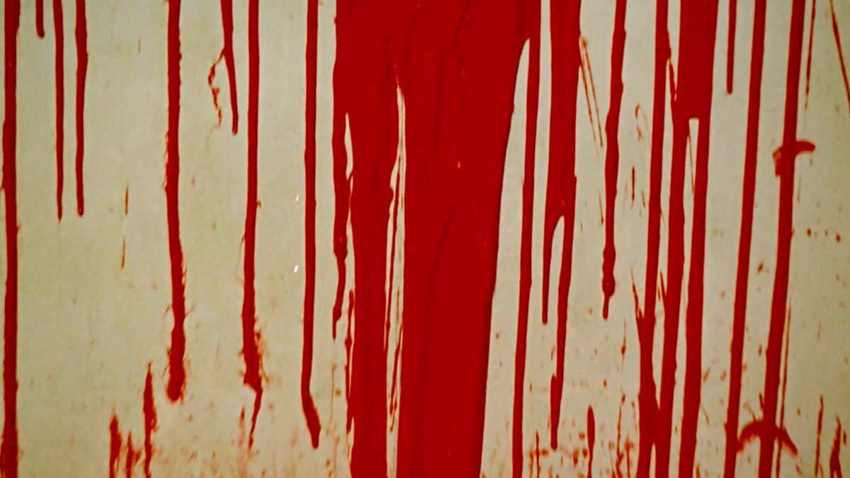 callel 🇵🇸 tweet media