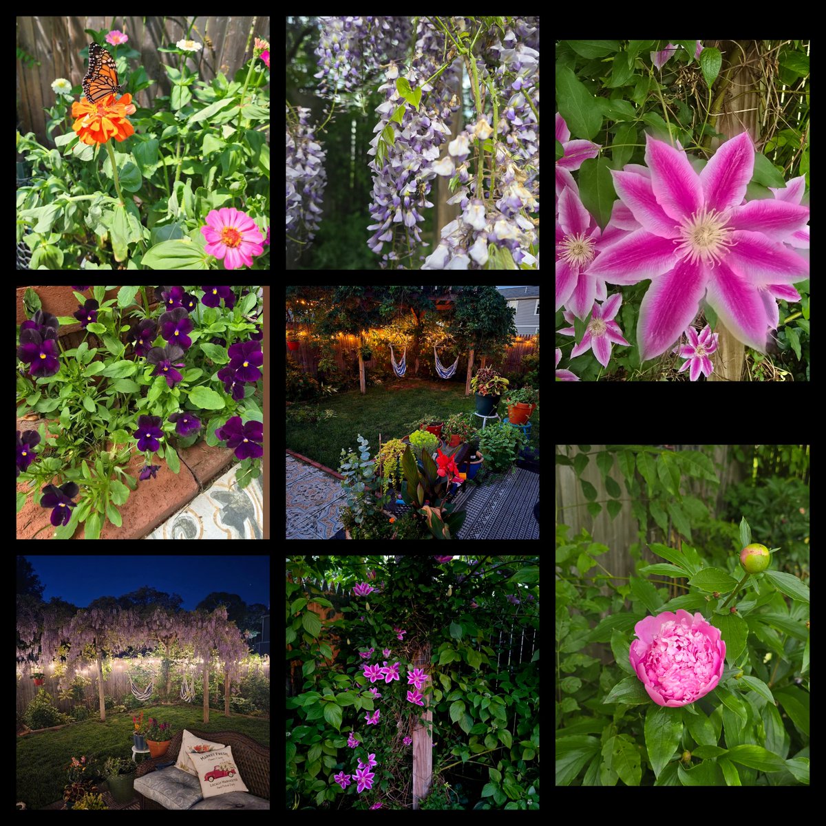 Beth 💫 is querying tweet media