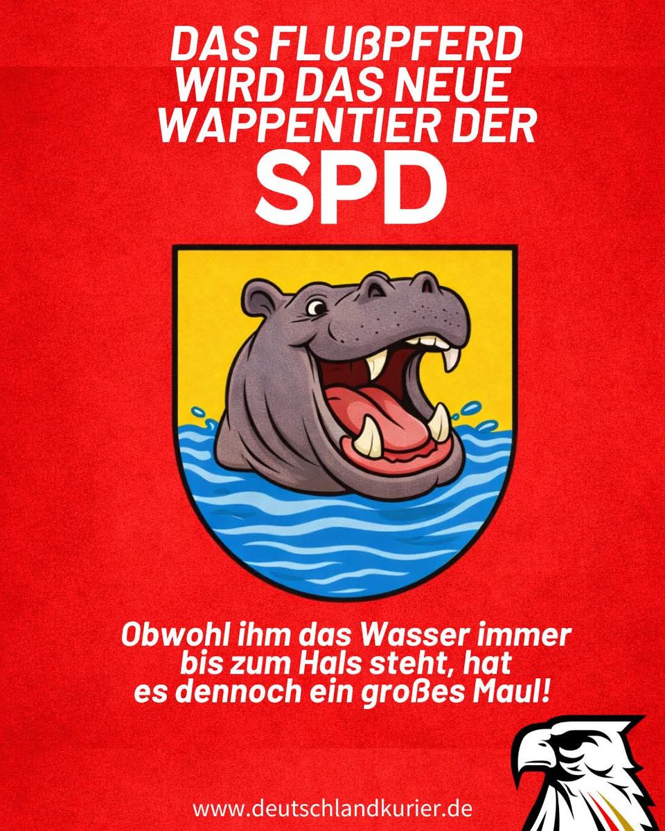 A. Camper tweet media