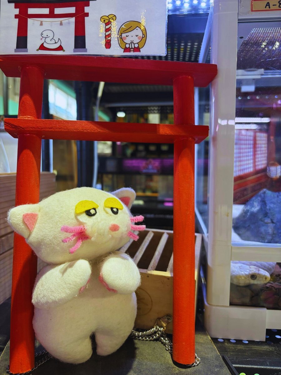 PETBOX オムとファムのふたりごと tweet media