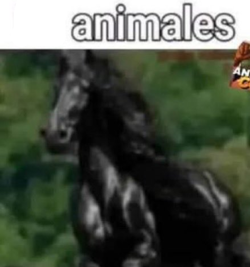 Memes sin el Texto que les da Sentido tweet media