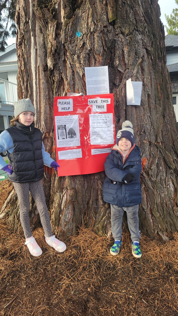 Arielle B tweet media