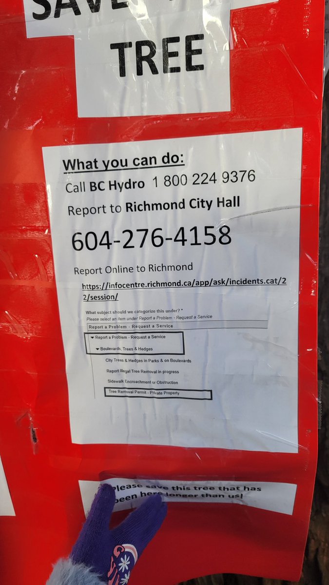 Arielle B tweet media