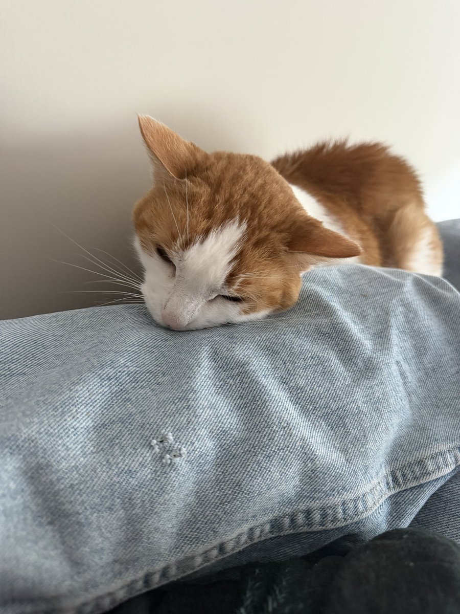 isaiah☆ tweet media