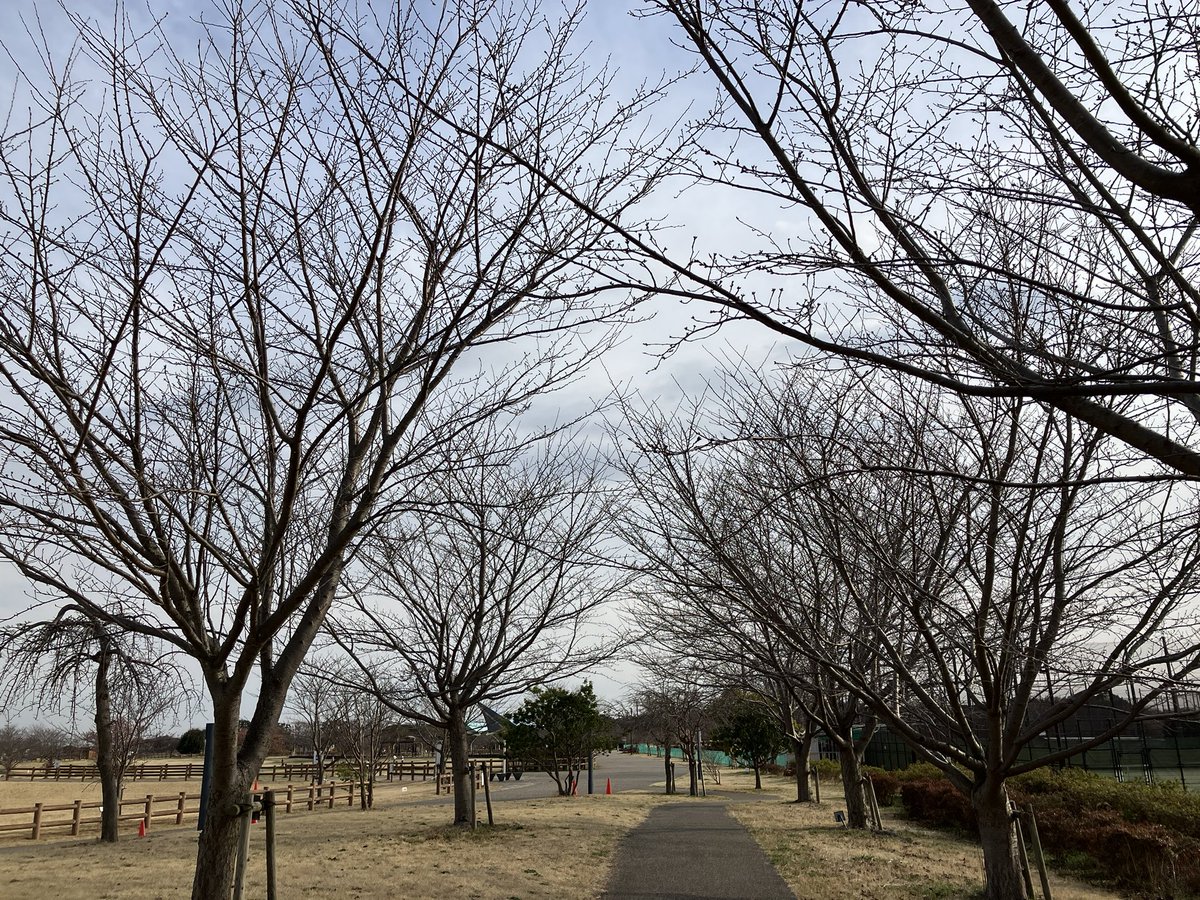 honobono92kobo's tweet photo. 晴れ☀️
本日靴教室は17時まで
見学可能です🉑

卒業シーズン
春が近い❗️

靴作りは今日も前進👞🔨

#湘南台
#靴作り
#見学予約受付中
#新しい趣味
#卒業
#春から https://t.co/yDsKrhHLZJ