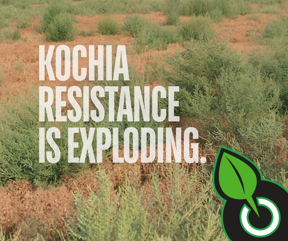 Precision Ag tweet media