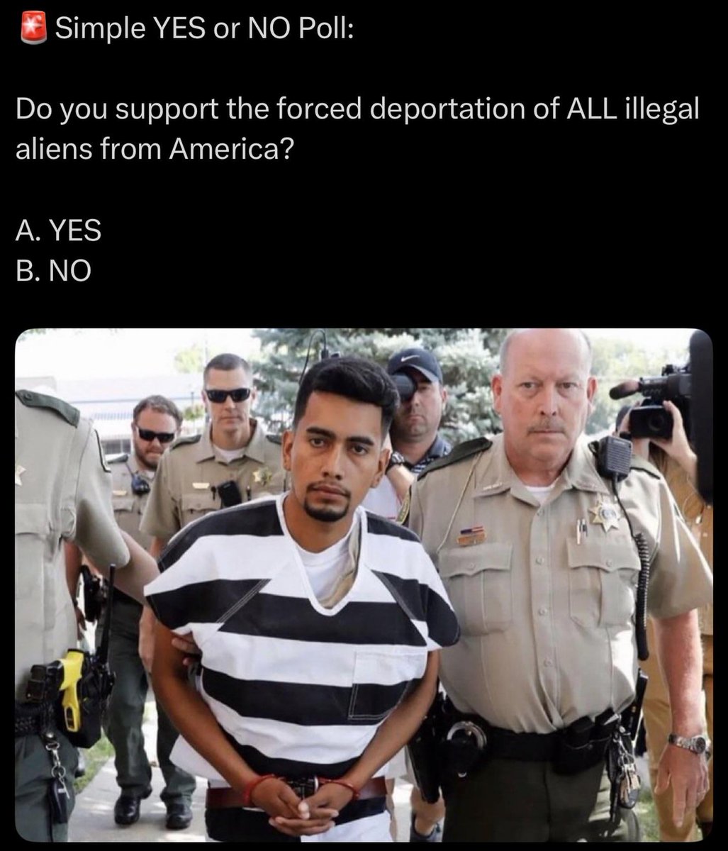 Luna Jones🇺🇸 tweet media