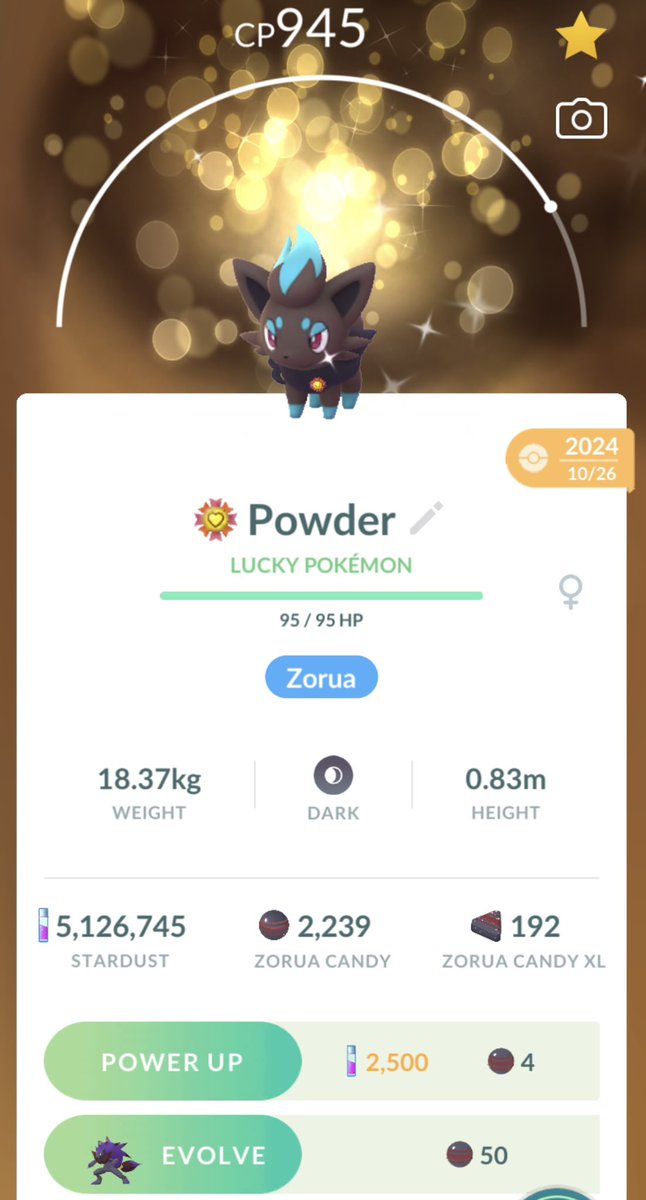 elvvey's tweet photo. My favorite #GOmemories was attending the Unova GO Tour in LA!! Not only is it my favorite generation, but I got my absolute favorite pokémon lucky traded from it. 💙 #sweepstakes @PokemonGoApp #pokemongofest2026 https://t.co/lWmOQy7vEK