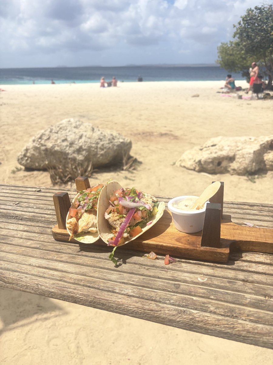 Realized two of my dreams today in Bonaire: ate barracuda tacos, and jumped over a sea turtle while kitesurfing (turtle not shown)