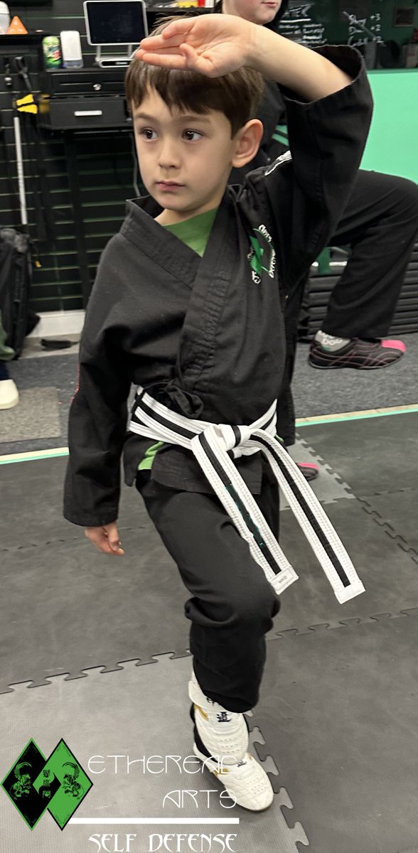 SGMFrost's tweet photo. What do kids learn in martial arts? To defend themselves, get exercise, &amp; to balance emotions!  #bullyproof #etherealartsselfdefense #griffinkenpo #karate #karatelife #kempo #kempolife #kenpo #kenpokarate #kenpolife #martialarts #selfdefense #stowma #stowmartialarts https://t.co/plYUJCOwLj