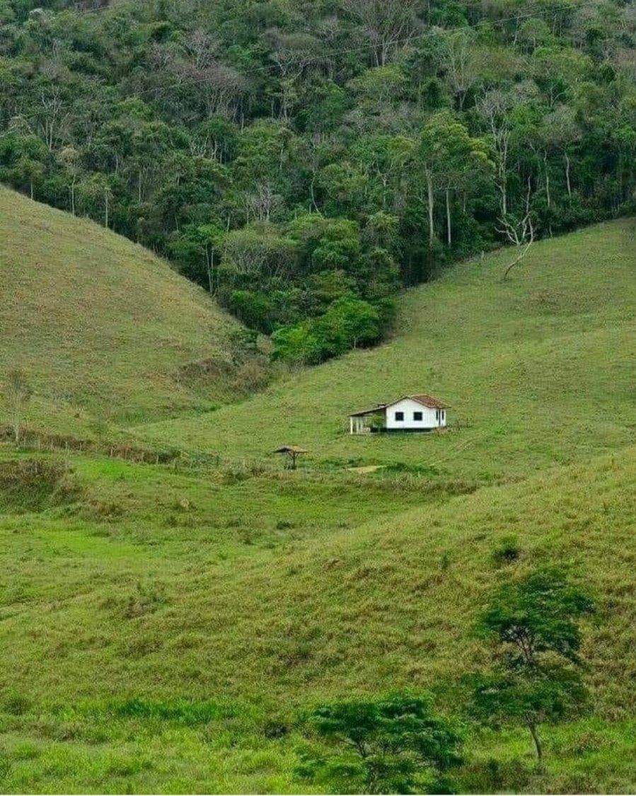 Zoom Afrika tweet media