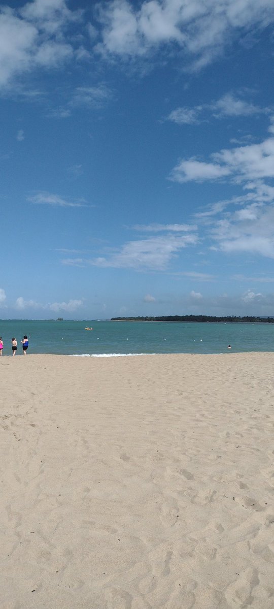 Hélène St-Denis tweet media