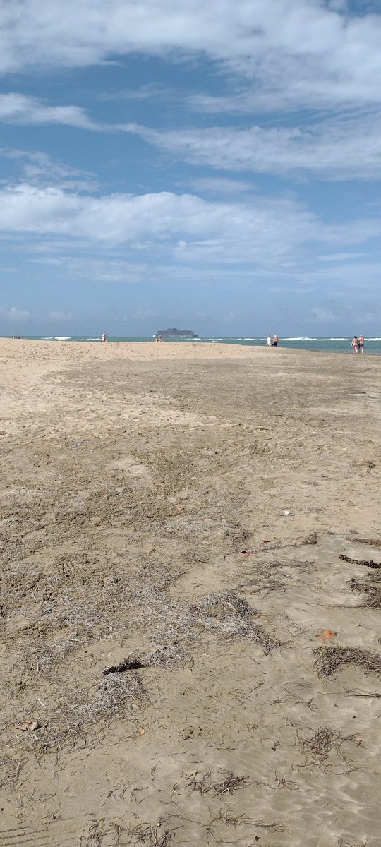 Hélène St-Denis tweet media