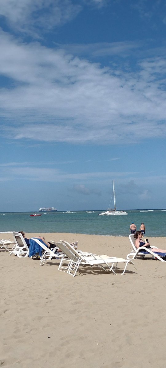 Hélène St-Denis tweet media