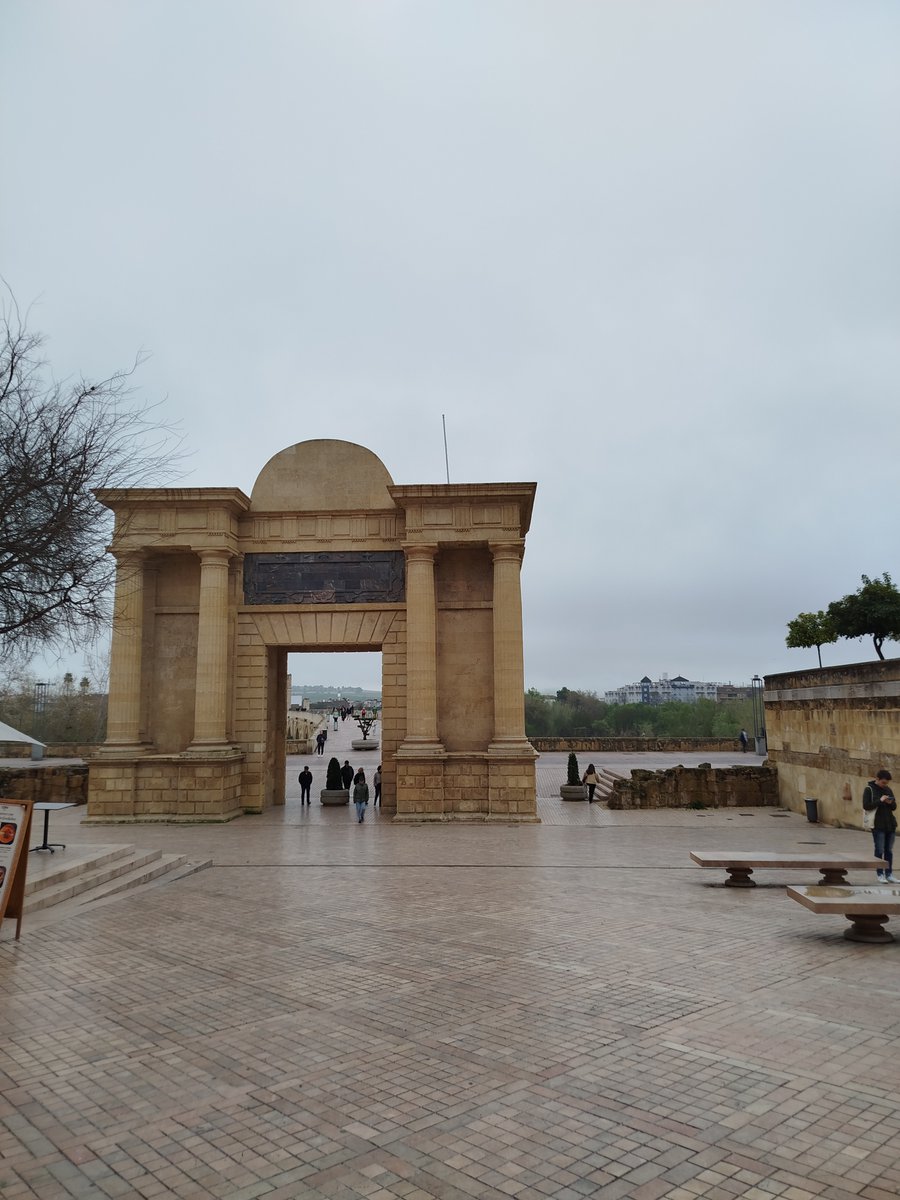 Mª Delfina Marco tweet media