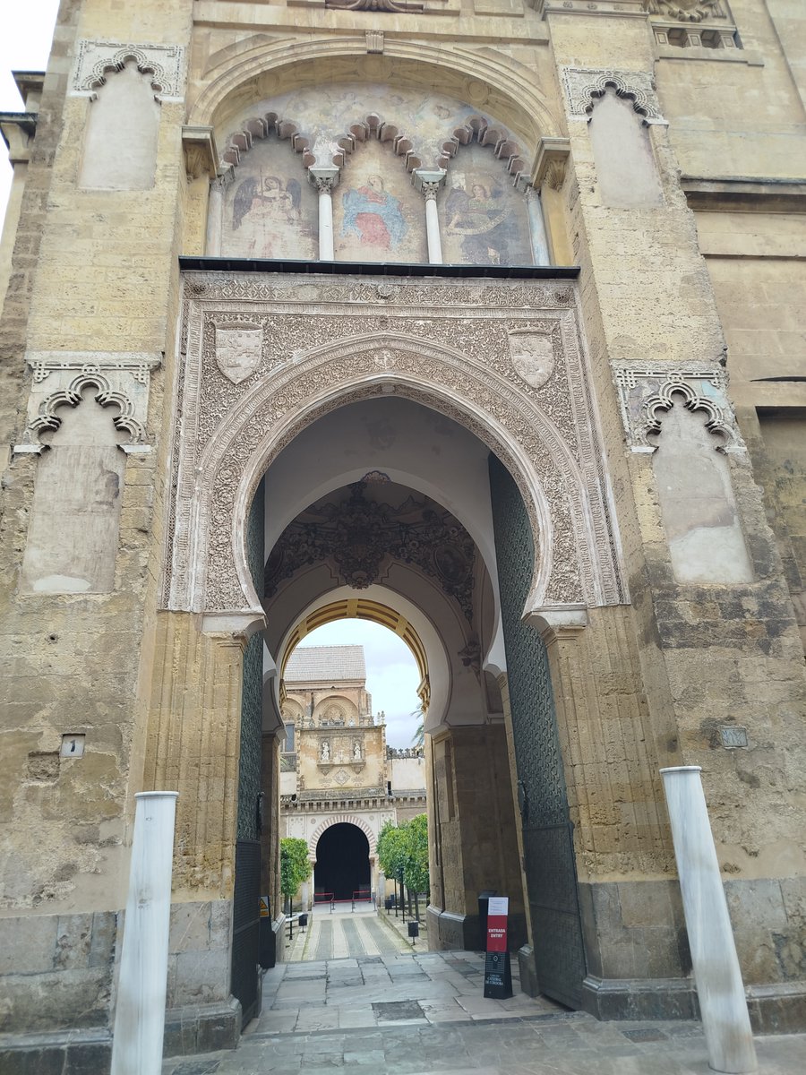 Mª Delfina Marco tweet media