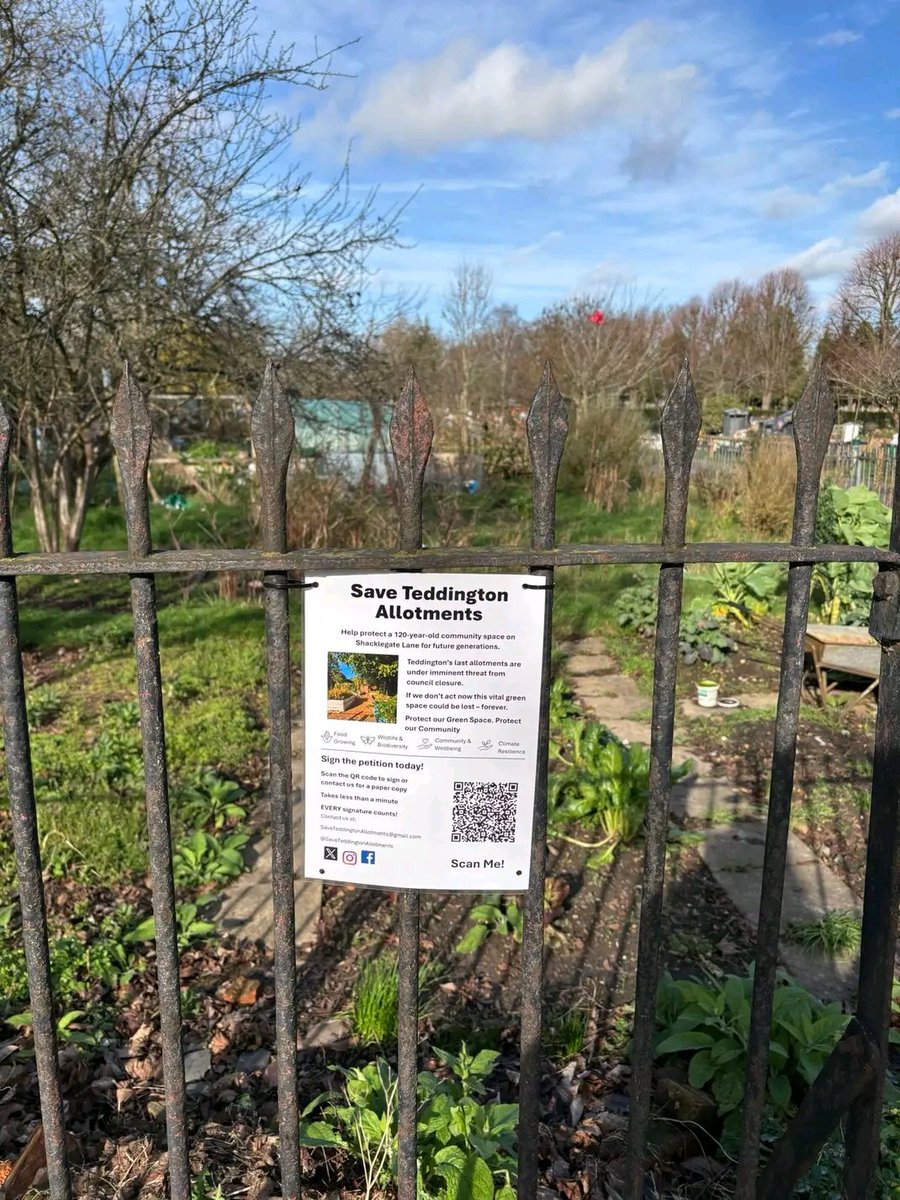 Tedd Allotment tweet media