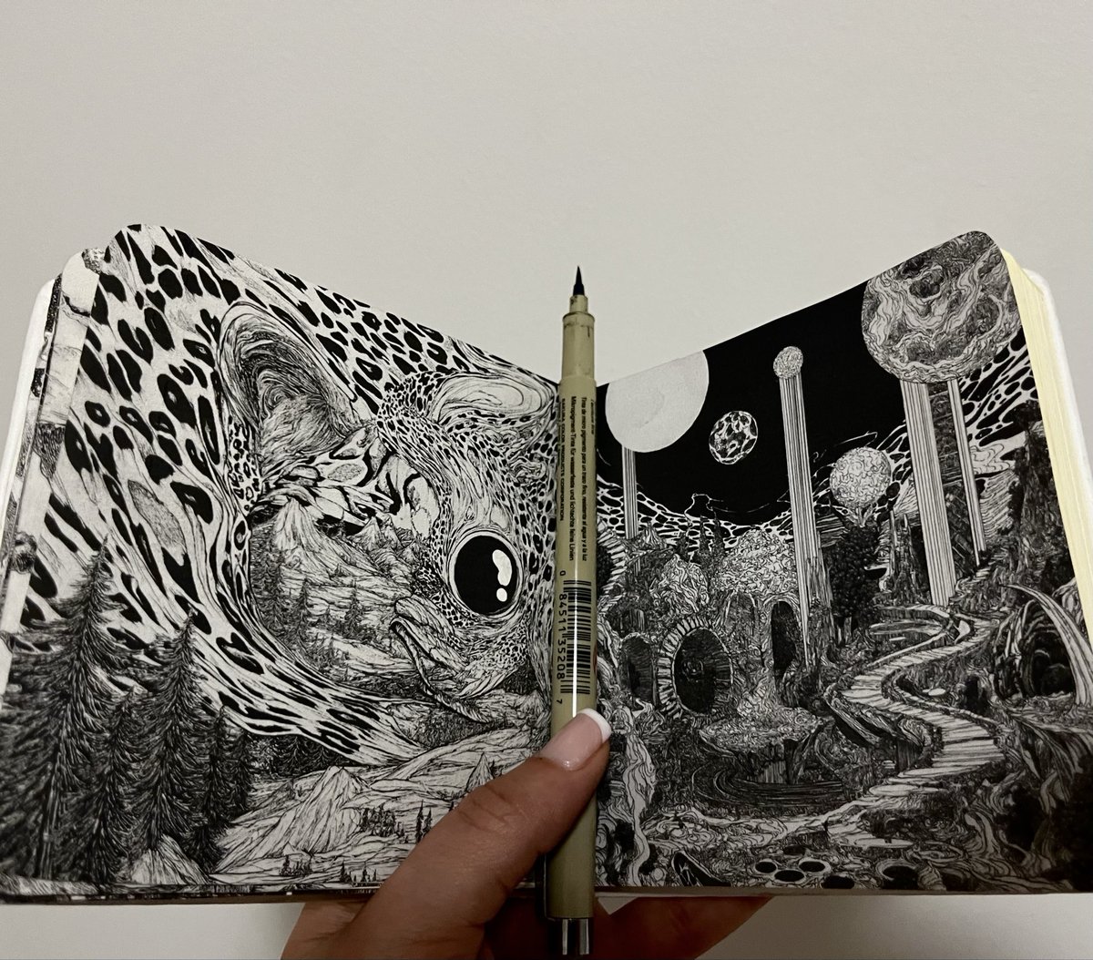 Slivereign's tweet photo. Everything I drew in the zone https://t.co/FUwRdEnU2U