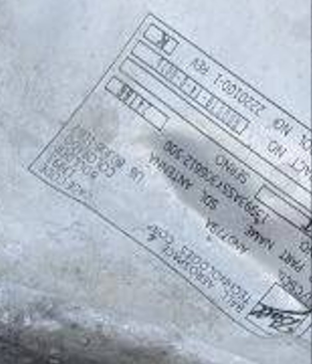 ShadowProphet tweet media