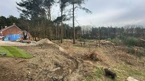 Joanne Smith tweet media