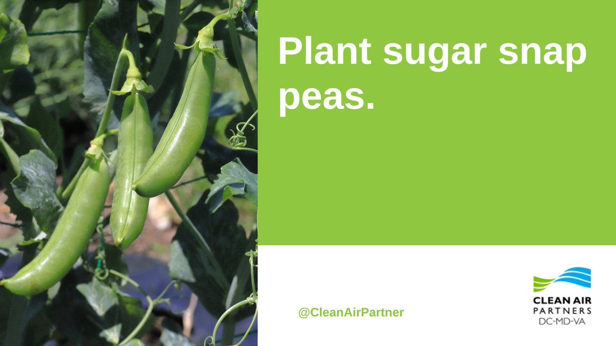 Clean Air Partners tweet media